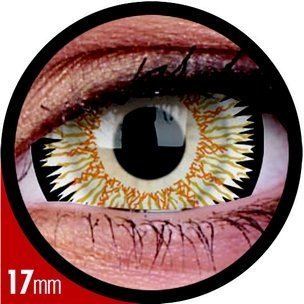 Mini-Sclera Orbitron (Annuelles) (2 lentilles)