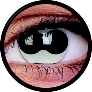 Split Eye (Annuelles) (2 lentilles)