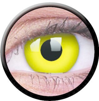 Yellow (Annuelles) (2 lentilles)