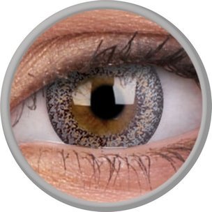 Fizzy Champagne Silver (1-Mois) (2 lentilles)
