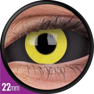 Sclera Angel Dust (6-Mois) (2 lentilles)